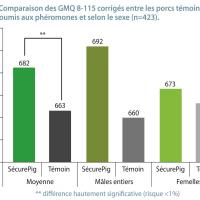 L'apaisement des porcs