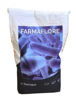 Farmaflore, aliment origine lactique , stabilité de la flore, bactéries inactivées