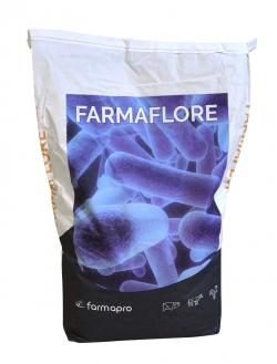 Farmaflore, aliment origine lactique