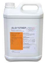 Elsy strep