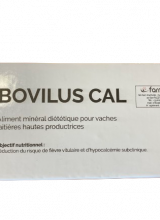 bolus